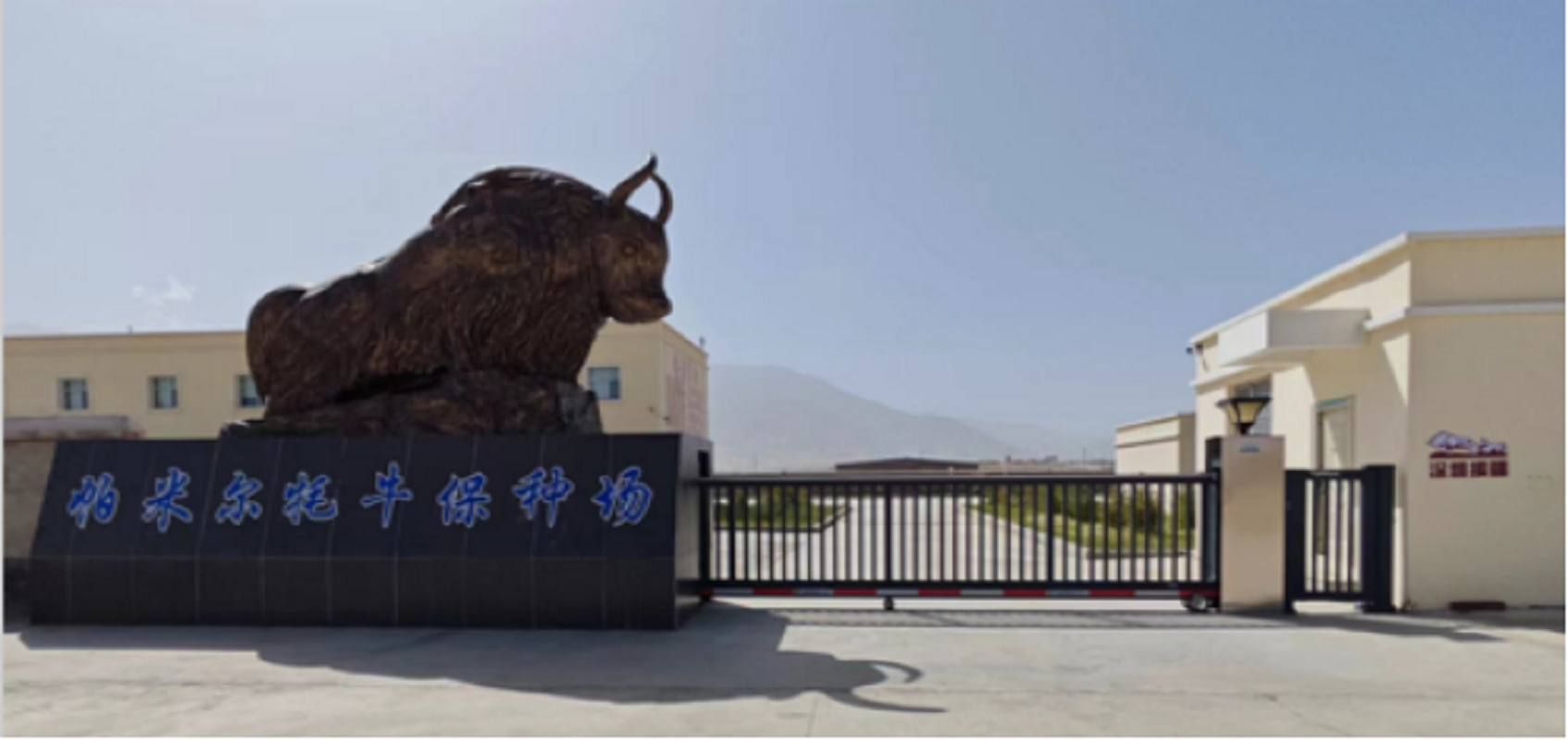 公司图片