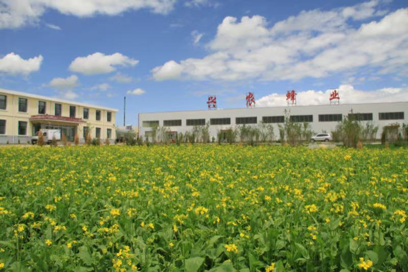 公司图片