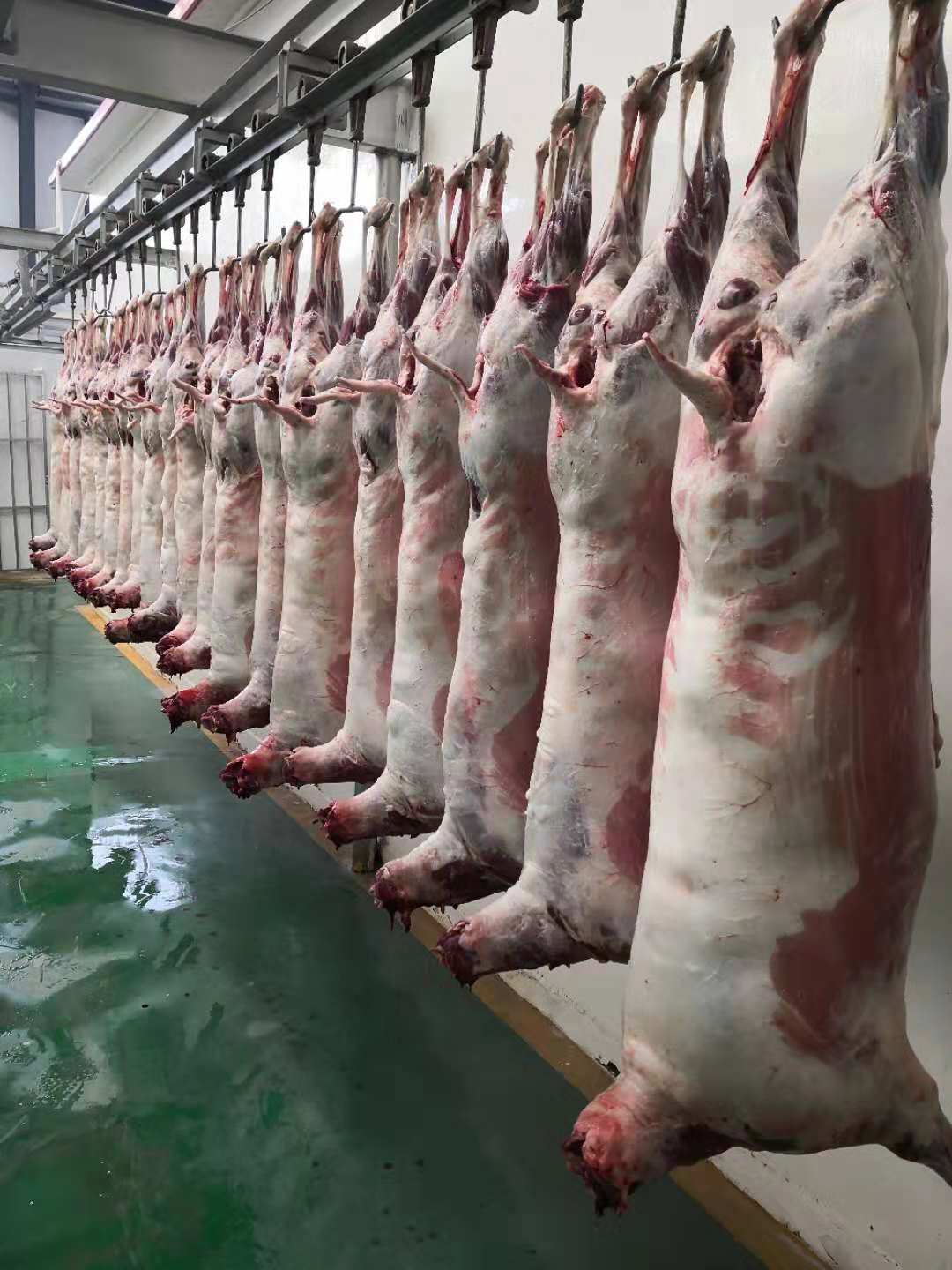 公司图片