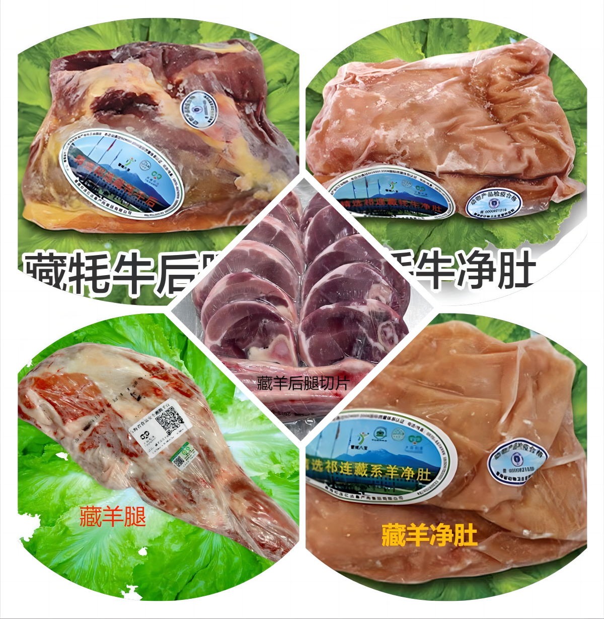 公司图片