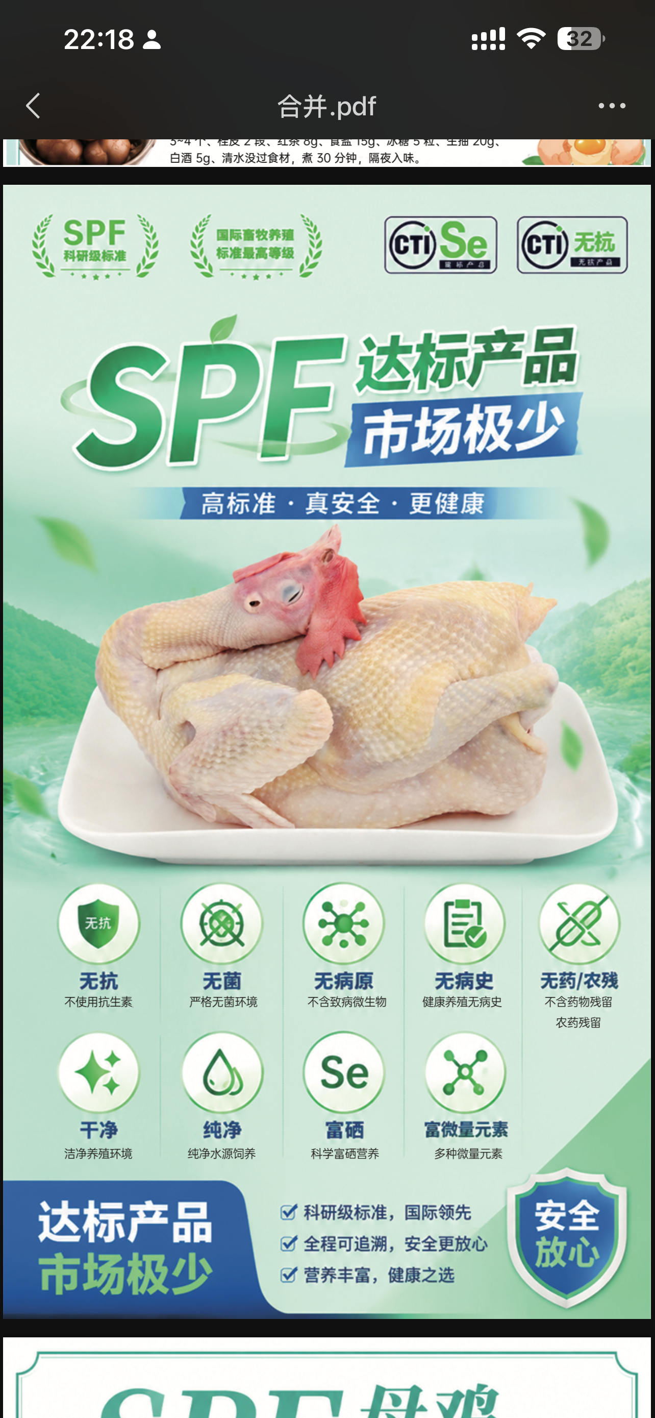 SPF级养殖标准母鸡