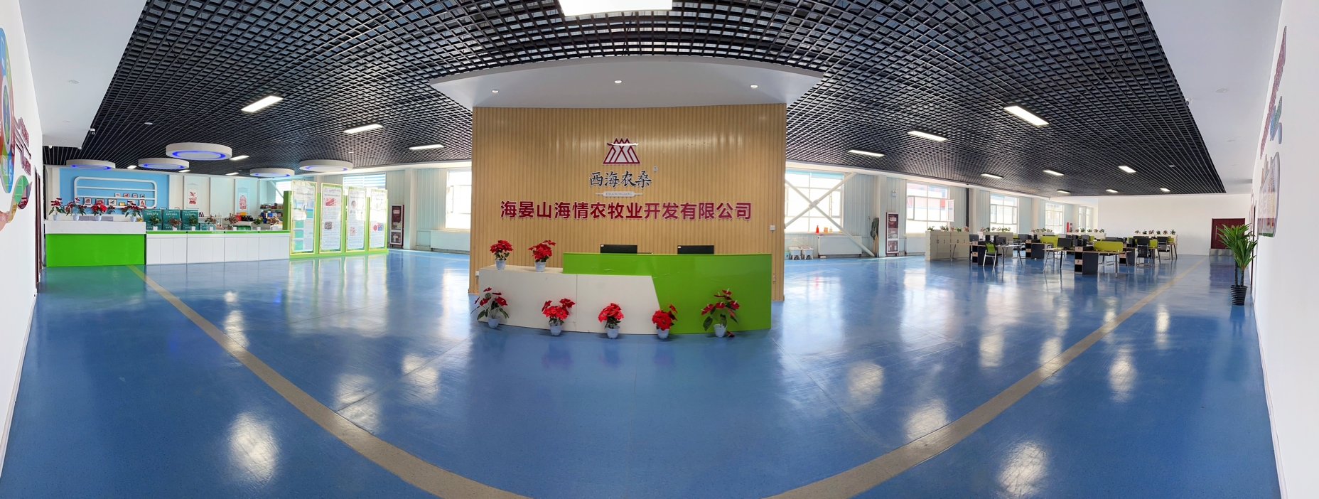 公司图片