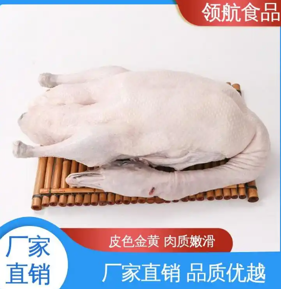 生鲜黑棕鹅、乳鸽家禽冻品
