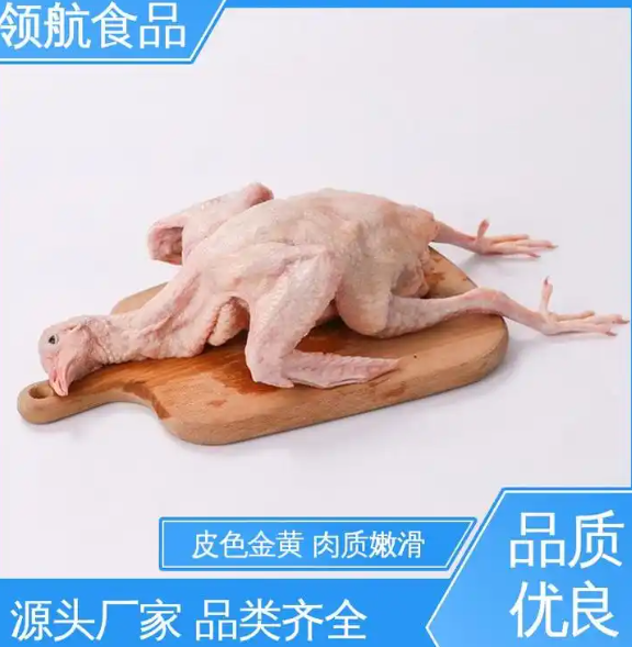 生鲜黑棕鹅、乳鸽家禽冻品