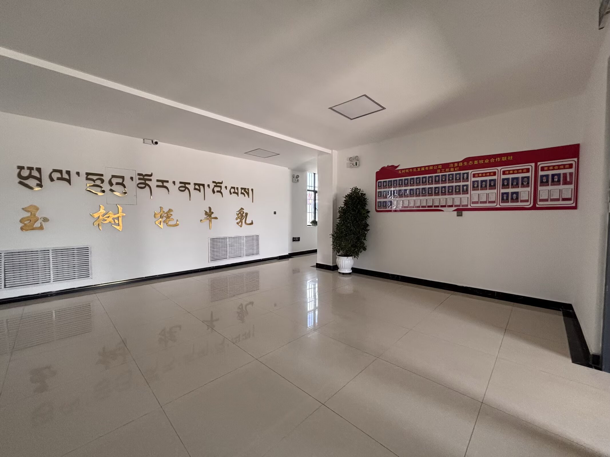 公司图片