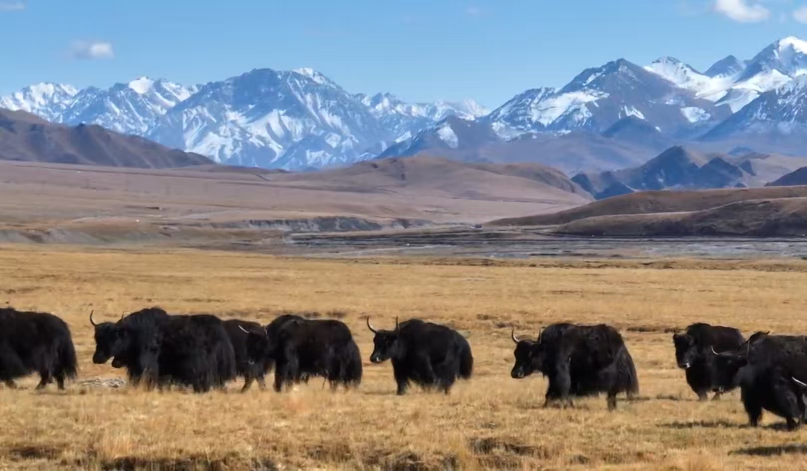 公司图片