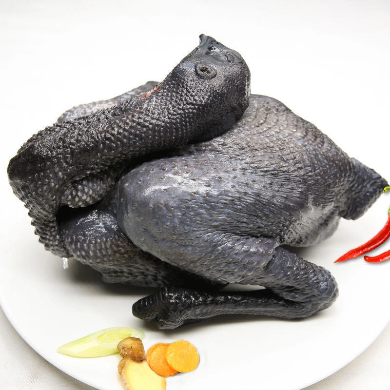 乌鸡新鲜现杀