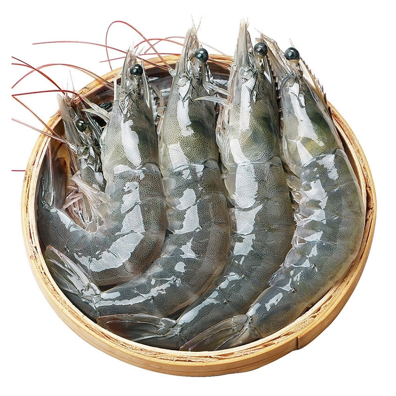 厄瓜多尔大虾