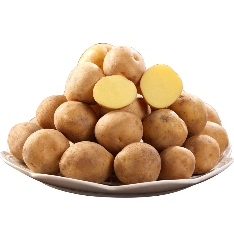 恩施黄心小土豆