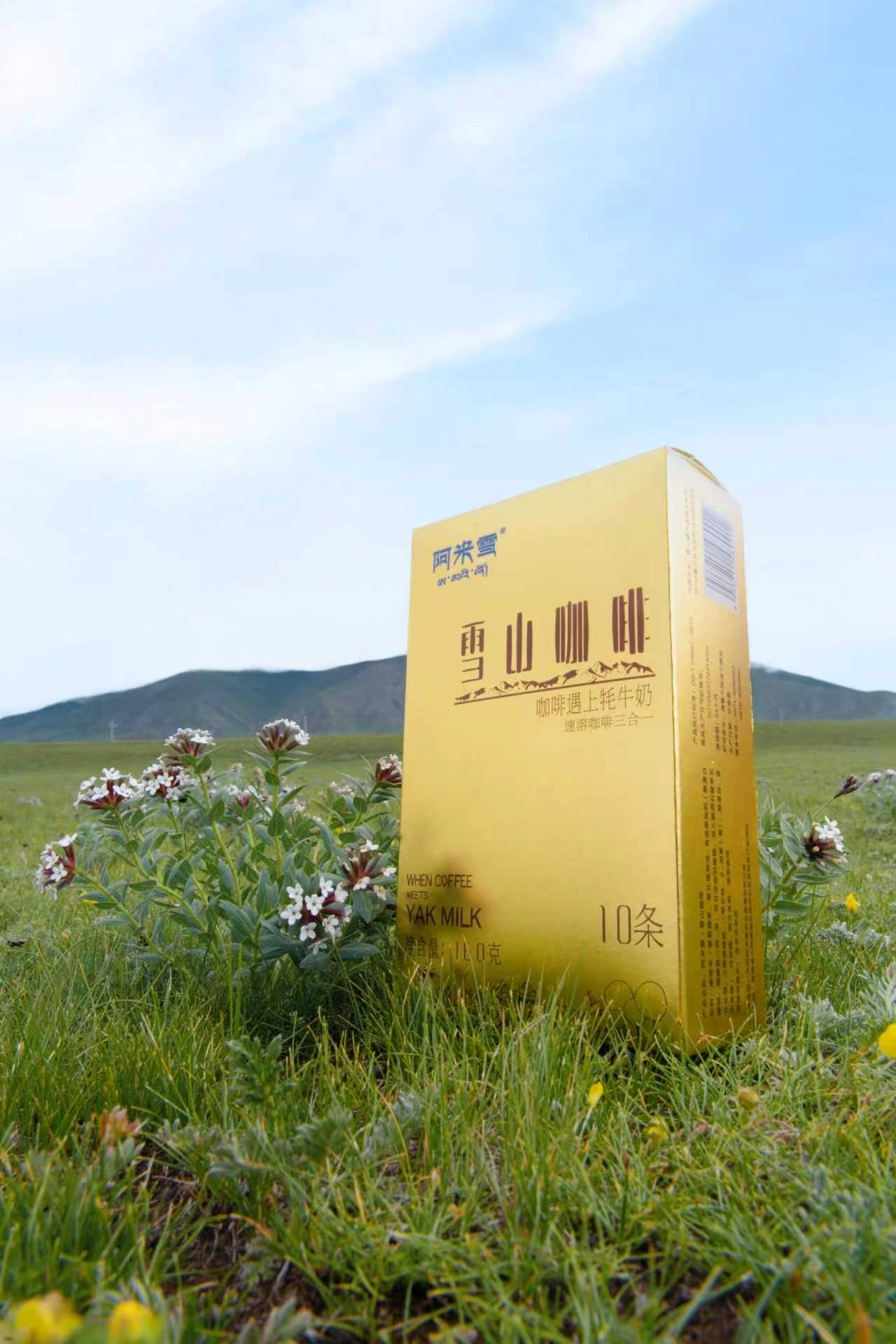 【卓姆雪】雪山咖啡(含糖)  16g*10条/盒